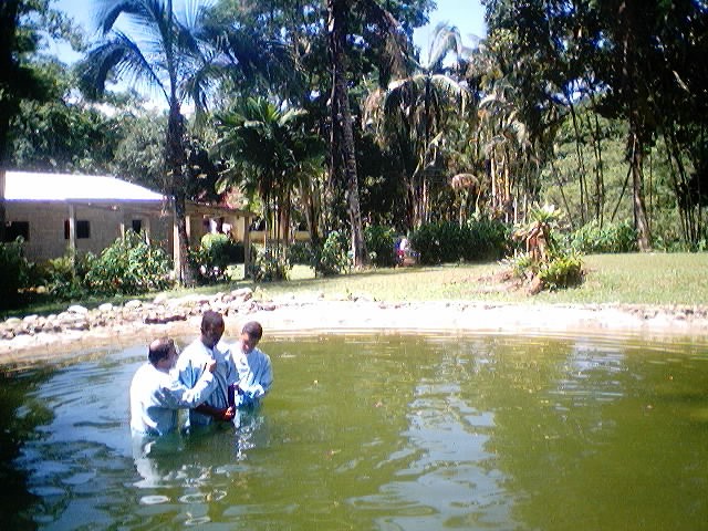 Imagem 10 de 18  -  123 kB